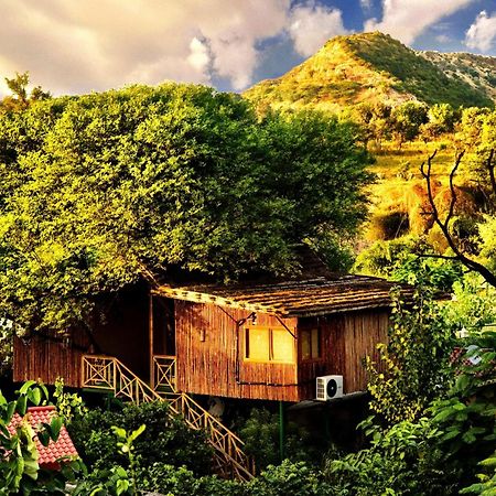 The Tree House Resort ジャイプール エクステリア 写真