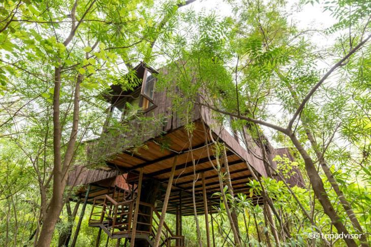 The Tree House Resort ジャイプール エクステリア 写真