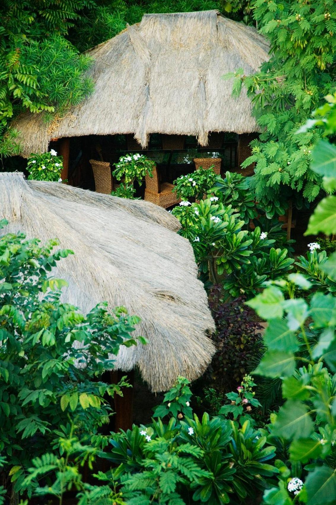 The Tree House Resort ジャイプール エクステリア 写真