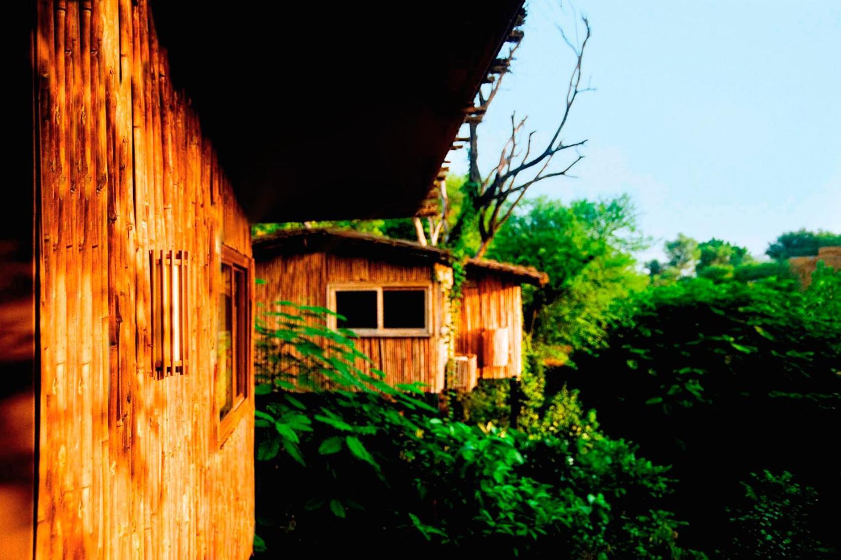 The Tree House Resort ジャイプール エクステリア 写真