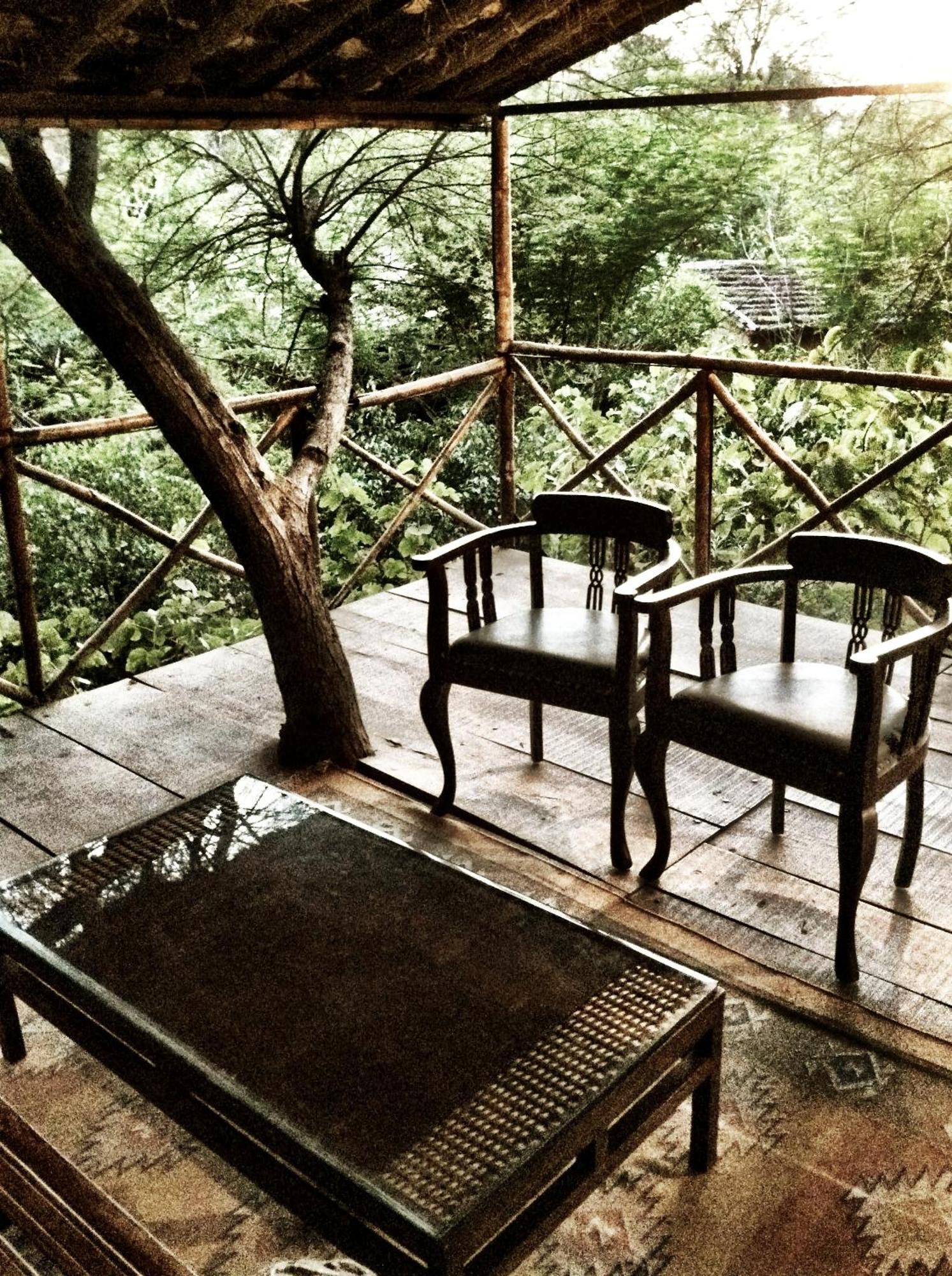 The Tree House Resort ジャイプール エクステリア 写真